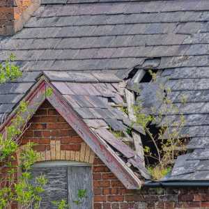 roof damage insurance claims