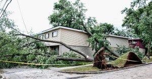 Orlando Storm Damage Claim Attorney