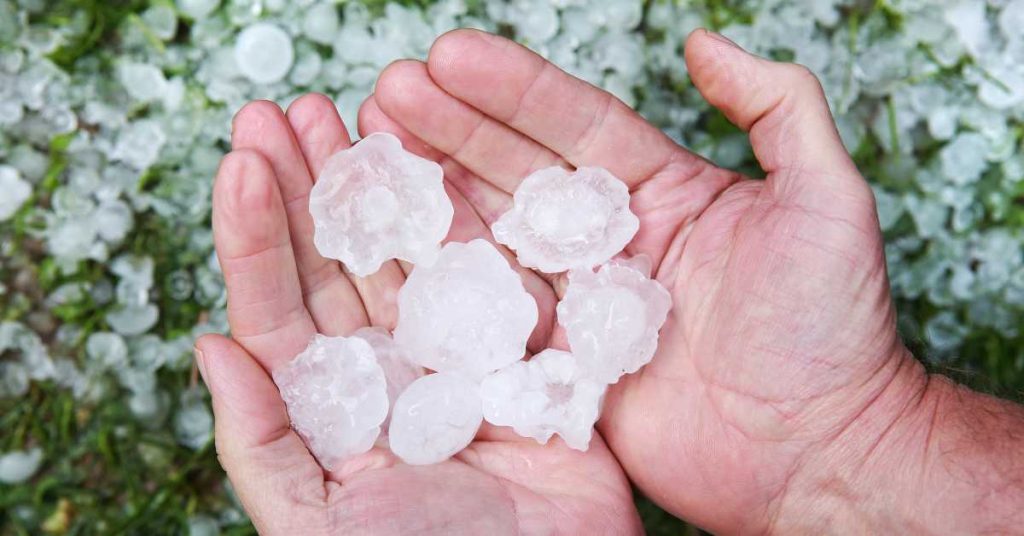 Hail Damage Insurance Claim