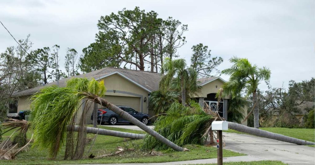 Is Wind Or Hurricane Damage Covered If My Insurance Company Blames ‘Wear And Tear
