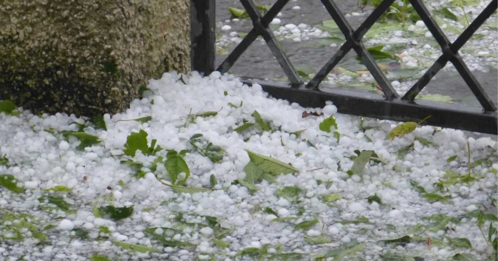 Hail Damage Insurance Claim Denied